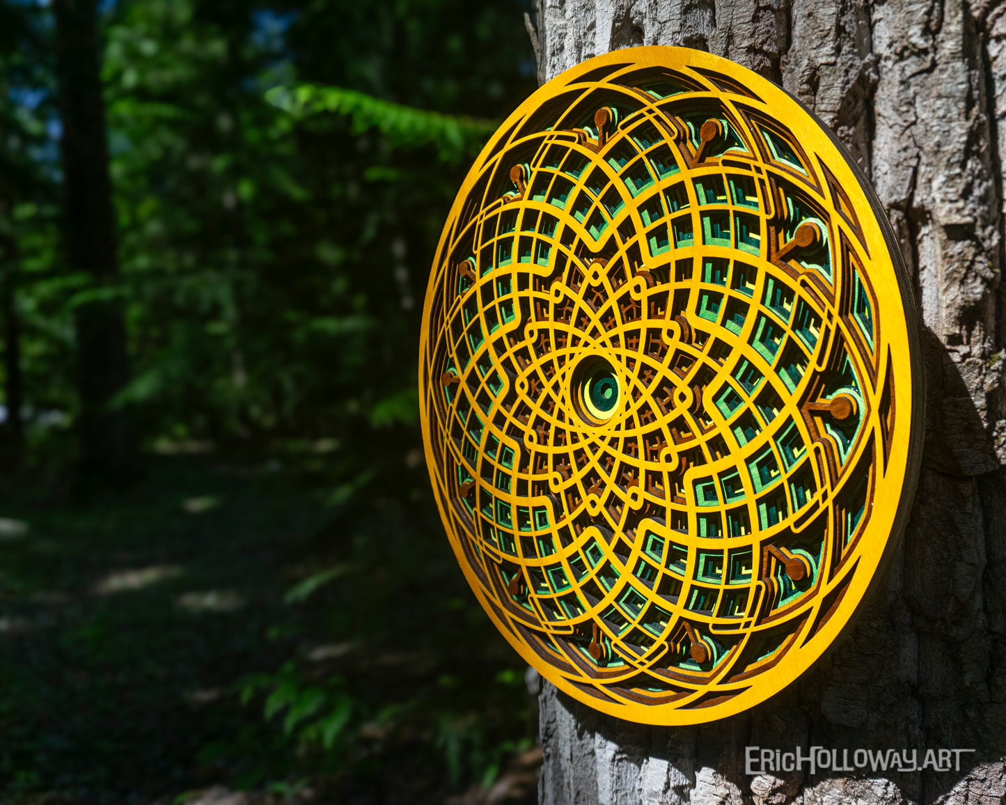 Hidden Light; Slow Forest Wander
